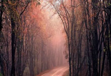 立陶宛逼平瑞士，小组积分背水一战