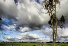 上海申花主帅调整阵容，策略应对亚洲联赛挑战