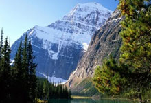 阿尔及利亚运动员在拔河比赛中表现出色，团队精神值得称赞