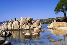 塞内加尔隊在國際比賽中表現抢眼，劃下一筆勝利